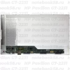 Матрица для ноутбука HP Pavilion G7-2231 (1600x900 HD+) TN, 40pin, Глянцевая