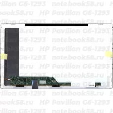 Матрица для ноутбука HP Pavilion G6-1293 (1366x768 HD) TN, 40pin, Матовая