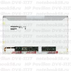 Матрица для ноутбука HP Pavilion DV6-3137 (1366x768 HD) TN, 40pin, Глянцевая