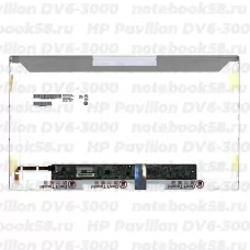 Матрица для ноутбука HP Pavilion DV6-3000 (1366x768 HD) TN, 40pin, Глянцевая