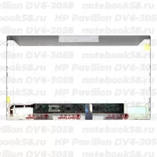 Матрица для ноутбука HP Pavilion DV6-3058 (1366x768 HD) TN, 40pin, Матовая