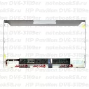 Матрица для ноутбука HP Pavilion DV6-3109er (1366x768 HD) TN, 40pin, Матовая