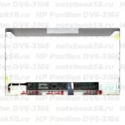 Матрица для ноутбука HP Pavilion DV6-3166 (1366x768 HD) TN, 40pin, Матовая