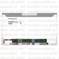 Матрица для ноутбука HP Pavilion G6-2067 (1366x768 HD) TN, 40pin, Матовая