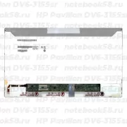 Матрица для ноутбука HP Pavilion DV6-3155sr (1366x768 HD) TN, 40pin, Матовая