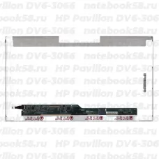 Матрица для ноутбука HP Pavilion DV6-3066 (1366x768 HD) TN, 40pin, Глянцевая