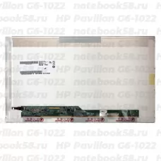 Матрица для ноутбука HP Pavilion G6-1022 (1366x768 HD) TN, 40pin, Глянцевая