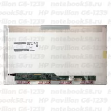 Матрица для ноутбука HP Pavilion G6-1239 (1366x768 HD) TN, 40pin, Глянцевая