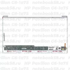 Матрица для ноутбука HP Pavilion G6-1a75 (1366x768 HD) TN, 40pin, Глянцевая