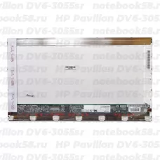 Матрица для ноутбука HP Pavilion DV6-3055sr (1366x768 HD) TN, 40pin, Глянцевая