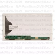 Матрица для ноутбука HP Pavilion DV6-3029 (1366x768 HD) TN, 40pin, Матовая