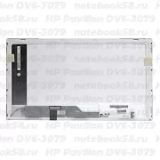 Матрица для ноутбука HP Pavilion DV6-3079 (1366x768 HD) TN, 40pin, Глянцевая