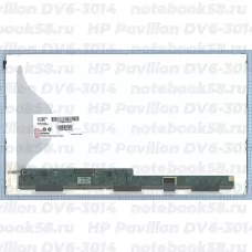 Матрица для ноутбука HP Pavilion DV6-3014 (1366x768 HD) TN, 40pin, Матовая