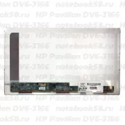 Матрица для ноутбука HP Pavilion DV6-3166 (1366x768 HD) TN, 40pin, Матовая