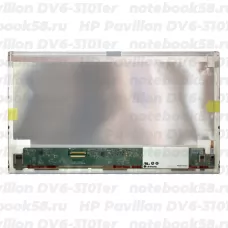 Матрица для ноутбука HP Pavilion DV6-3101er (1366x768 HD) TN, 40pin, Матовая