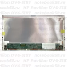 Матрица для ноутбука HP Pavilion DV6-3187 (1366x768 HD) TN, 40pin, Матовая