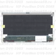 Матрица для ноутбука HP Pavilion DV6-3003 (1366x768 HD) TN, 40pin, Матовая