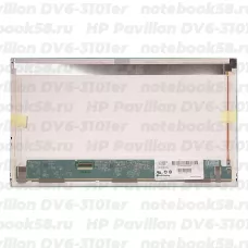 Матрица для ноутбука HP Pavilion DV6-3101er (1366x768 HD) TN, 40pin, Матовая