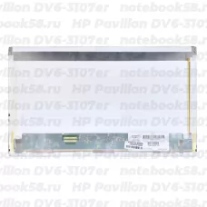 Матрица для ноутбука HP Pavilion DV6-3107er (1366x768 HD) TN, 40pin, Матовая