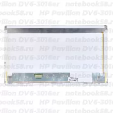 Матрица для ноутбука HP Pavilion DV6-3016er (1366x768 HD) TN, 40pin, Матовая