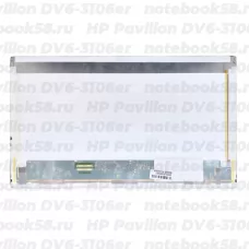 Матрица для ноутбука HP Pavilion DV6-3106er (1366x768 HD) TN, 40pin, Матовая