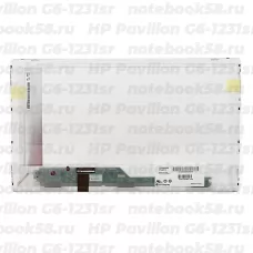 Матрица для ноутбука HP Pavilion G6-1231sr (1366x768 HD) TN, 40pin, Матовая