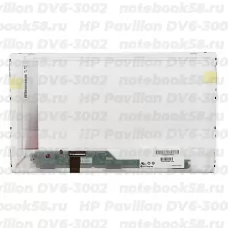 Матрица для ноутбука HP Pavilion DV6-3002 (1366x768 HD) TN, 40pin, Глянцевая