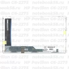 Матрица для ноутбука HP Pavilion G6-2275 (1366x768 HD) TN, 40pin, Матовая