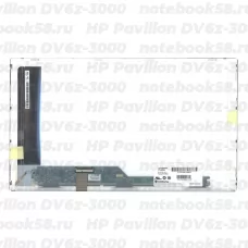 Матрица для ноутбука HP Pavilion DV6z-3000 (1366x768 HD) TN, 40pin, Матовая