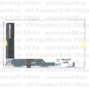 Матрица для ноутбука HP Pavilion DV6-3152nr (1366x768 HD) TN, 40pin, Матовая