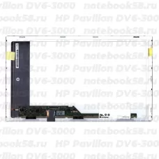 Матрица для ноутбука HP Pavilion DV6-3000 (1366x768 HD) TN, 40pin, Матовая