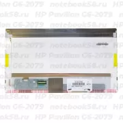 Матрица для ноутбука HP Pavilion G6-2079 (1366x768 HD) TN, 40pin, Глянцевая