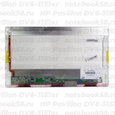 Матрица для ноутбука HP Pavilion DV6-3151er (1366x768 HD) TN, 40pin, Глянцевая