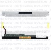 Матрица для ноутбука HP Pavilion DV6-3079 (1366x768 HD) TN, 40pin, Глянцевая