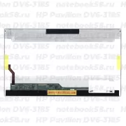 Матрица для ноутбука HP Pavilion DV6-3185 (1366x768 HD) TN, 40pin, Глянцевая