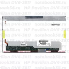 Матрица для ноутбука HP Pavilion DV6-3011 (1366x768 HD) TN, 40pin, Матовая