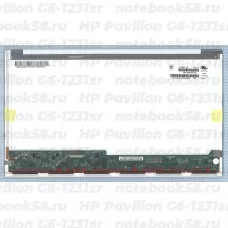 Матрица для ноутбука HP Pavilion G6-1231sr (1366x768 HD) TN, 40pin, Глянцевая