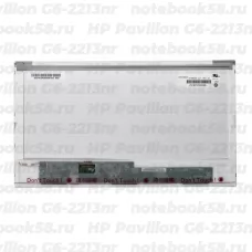 Матрица для ноутбука HP Pavilion G6-2213nr (1366x768 HD) TN, 40pin, Глянцевая