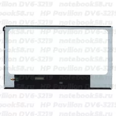 Матрица для ноутбука HP Pavilion DV6-3219 (1366x768 HD) TN, 40pin, Глянцевая