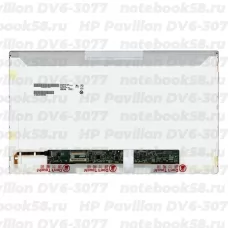 Матрица для ноутбука HP Pavilion DV6-3077 (1366x768 HD) TN, 40pin, Глянцевая