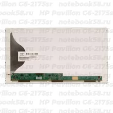 Матрица для ноутбука HP Pavilion G6-2175sr (1366x768 HD) TN, 40pin, Матовая