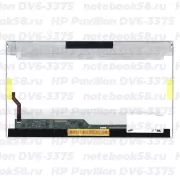 Матрица для ноутбука HP Pavilion DV6-3375 (1366x768 HD) TN, 40pin, Глянцевая