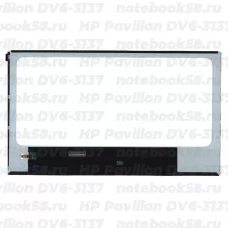 Матрица для ноутбука HP Pavilion DV6-3137 (1366x768 HD) TN, 40pin, Глянцевая